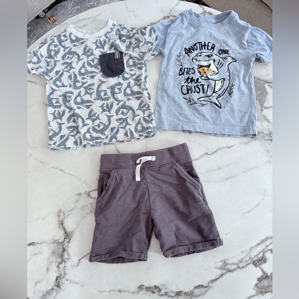 Kids Shark T-Shirts and Shorts Set